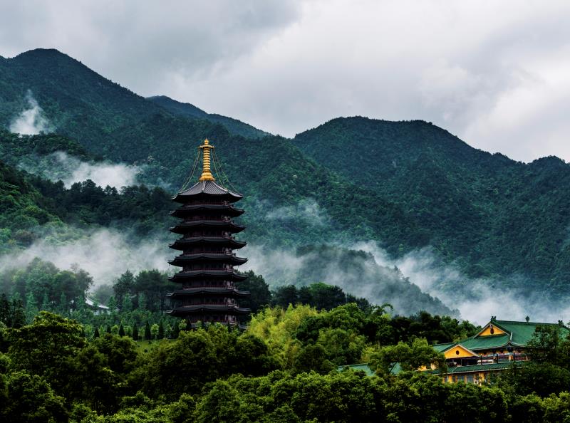 八項(xiàng)規(guī)定改變中國④以作風(fēng)建設(shè)新成效贏得人民群眾衷心擁護(hù)